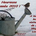 Heureuse année 2010 !