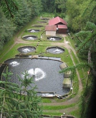 La pisciculture. La reproduction en captivité. En 1733.