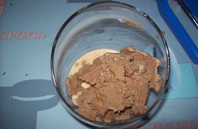 GLACE AU CHOCOLAT ET NOIX DE COCO