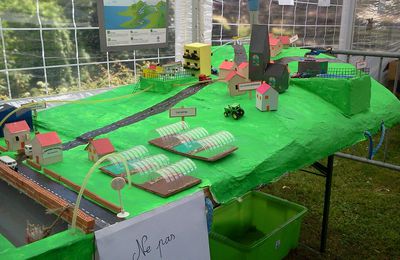 Projet expo-sciences !