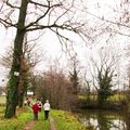 Randonnée du mardi 19 décembre après-midi - Le bois Labot Billezois