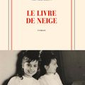 Le livre de neige : le dernier roman d’Olivier Liron est un beau cadeau 