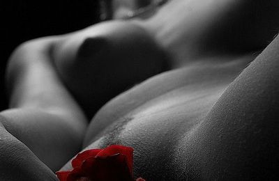 Rose et tulipe