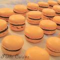 Tuto MacaronnEsque du Lutin pressé: la macaron facile et rapide!