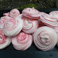 meringues bicolores