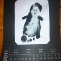 Calendrier 2011: un pingouin pour janvier