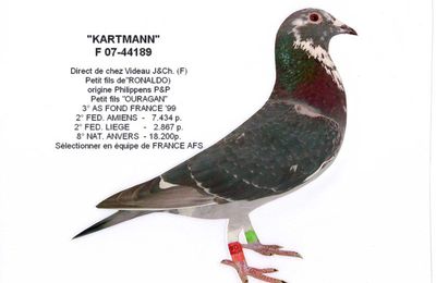 F 0744189 &quot;KARTMANN&quot; 