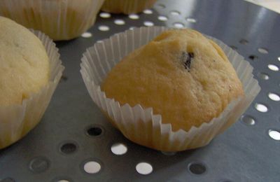 Muffins aux pépites de chocolat