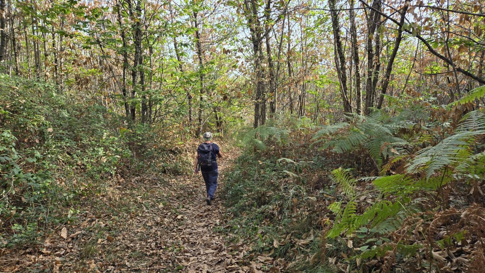 randonnée dans le Périgord Dordogne, blog randonnée