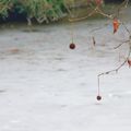 Pompons devant le lac gelé