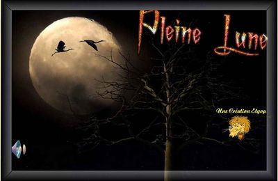 PLEINE LUNE