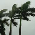 Typhoon Fanapi on Xiamen 