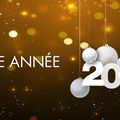 Bonne année 2017