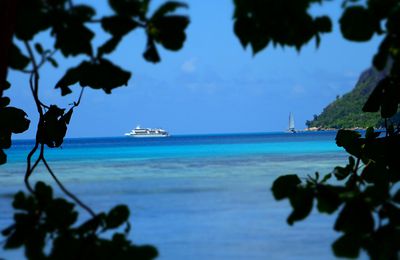 Adieu Praslin, re-bonjour Mahé