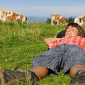 Assoula 1 et 2: Souvenirs des été à la ferme