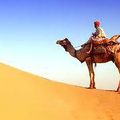 Le Rajasthan est le paradis sur terre sur le sable doré