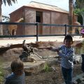 Journée au zoo
