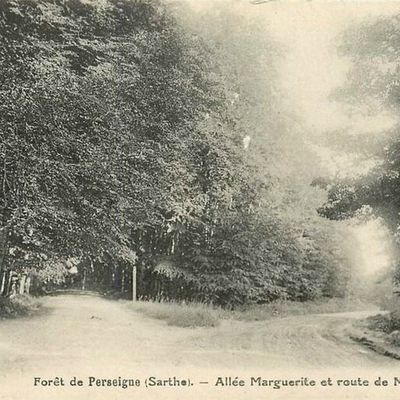 Le 24 décembre 1789 à Mamers : vol de bois en forêt de Perseigne.