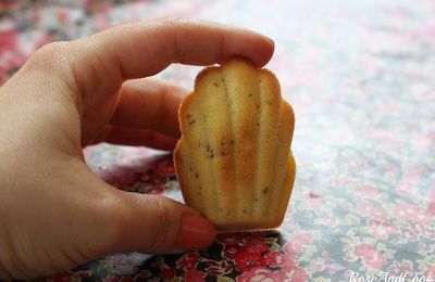 Ancel- Mes Madeleines, au poivre Timut du Népal et au poivre rouge de Pondichéry {jeu dedans}