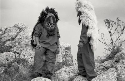 BLACK FOXXES – The Haar (2025)