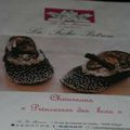 La princesse des poissons...Petits chaussons...