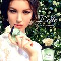 Parfums et égéries : DOLCE GABBANA