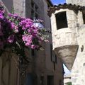 Pézenas "la Royale".Ses habitants,les Piscénois en Languedoc.