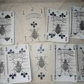 ANCIENNES CARTES DE JEU