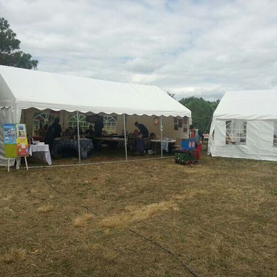 Salon du livre de la SALVETAT ST GILLES 2014