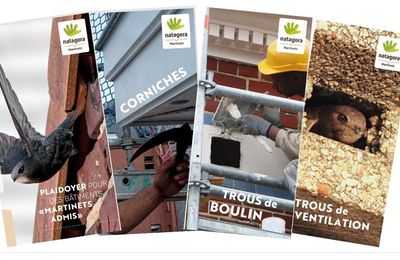 Nouveau : fiches-conseils