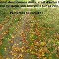 Proverbes 16 verset 17