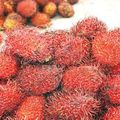  Le litchi en abondance