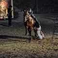 21 Juillet 1191 IIIe Croisade - Charte de Richard Cœur de Lion - Foulques de Beauvau périt au siège de Saint Jean d’Acre