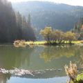 Balade au bord du Doubs