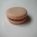 Voila un macaron Praliné Chocolat....On le