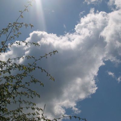 La nature , c'est beau : il n'y a rien de plus