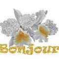 Une miss nommée.........Iris !