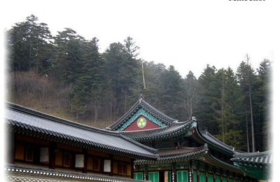 월정사 (Woljeongsa) – un écrin de sérénité en pleine nature