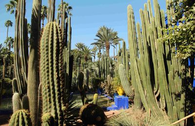 Jardin Majorelle