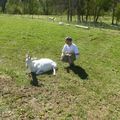 De ferme en ferme sur le plateau et la Combe du Val