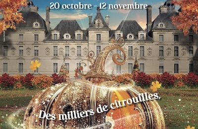 Le Château de Cheverny accueille de nouveaux alliums monumentaux et célèbre l'automne !