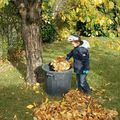 Corvée de feuilles