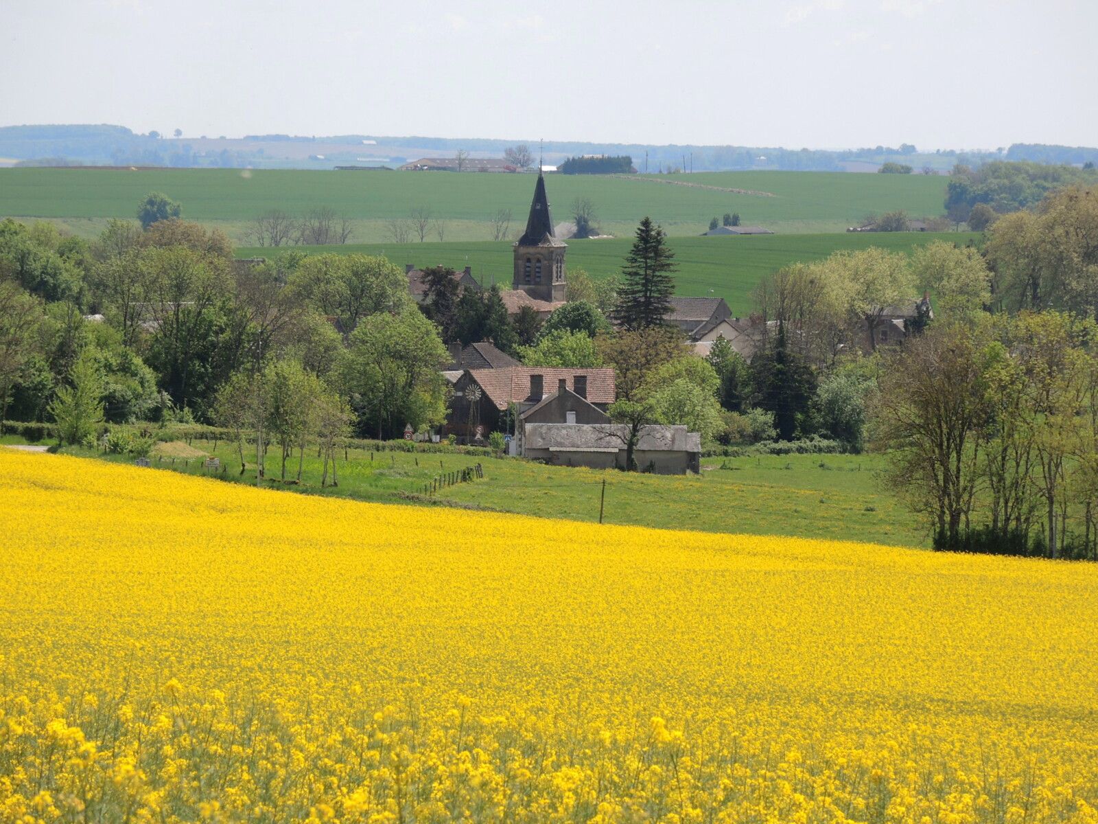 Billy-Chevannes, colza et église (58)