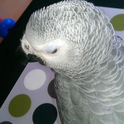 Les câlins en photos ! 