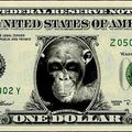 MONNAIE de SINGE ...