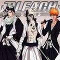 Nouveauté : Bleach !