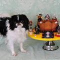 HAKURYU MES 2 ANS, HOLLANDE H' ERAGON, HANOI AVEC LE GATEAU D' ANNIVERSAIRE DE HALLOWEEN