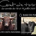 CERET 2020