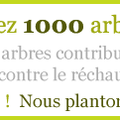 Plantons 1000 arbres ensemble.