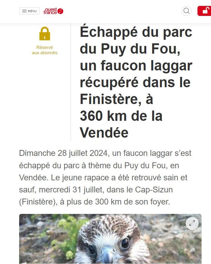 Le fou du Puy